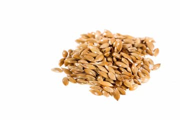 RawHarvest Unhulled Premium Canary Seeds (2 Pack 2 Lbs) For Humans