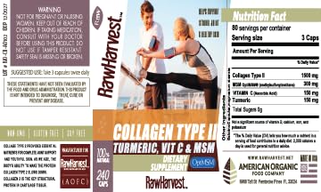 RawHarvest Collagen Type II with Turmeric, Vitamin C, & MSM 240 Capsules 1 Pack