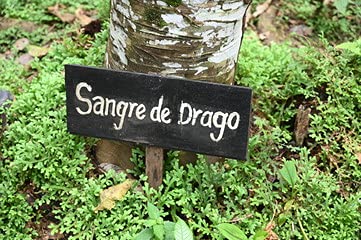 Raw Garden Dragon's Blood Original,100% Peruvian