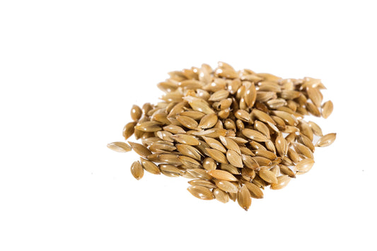 RawHarvest Canary Seed (Alpiste 1 Pack 4 lbs) for Human Consumption.