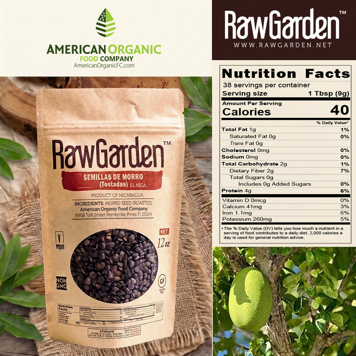 Raw Garden Roasted Morro Seeds | Jicaro Seeds | 12 oz 2 Pack (Semillas de Morro Tostadas)