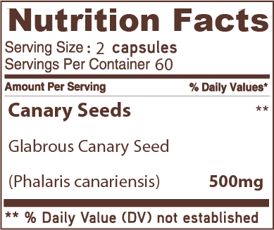 RawHarvest Canary Seed Alpiste Capsules (120 Capsules)