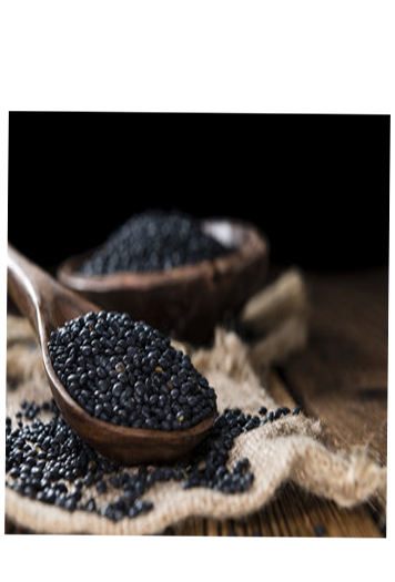 Rawseed Organic Black Lentils 10 Lbs* 1 Pack