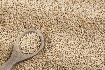 Raw Garden Canary Seed (Alpiste)