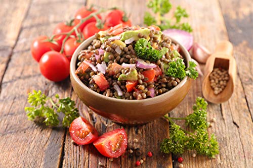Rawseed Organic Lentils Black,Red,Brown,French 4 Pack Product of USA or Canada