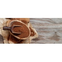 NEW Rawseed Organic Brown Whole Grain African Teff 10 Lbs* 